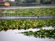 Padurea si lacul Snagov - snagov